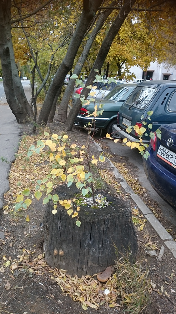 Фотографии, которые демонстрируют, что наша планета всё еще может удивить