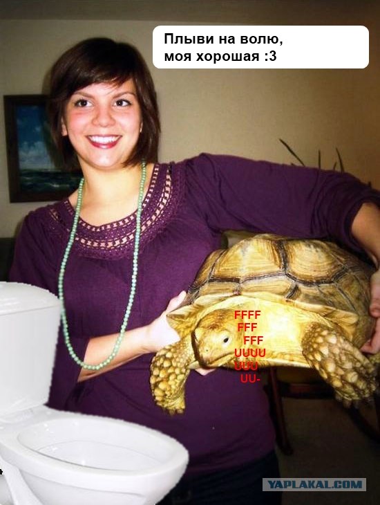 Девочка и черепаха