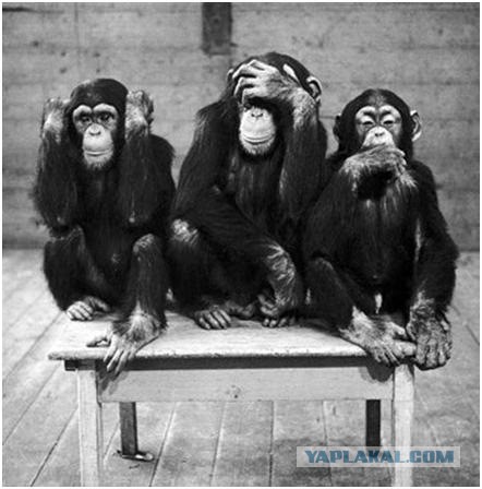 Магнитогорск. Операция завершена. Итог - 39 погибших