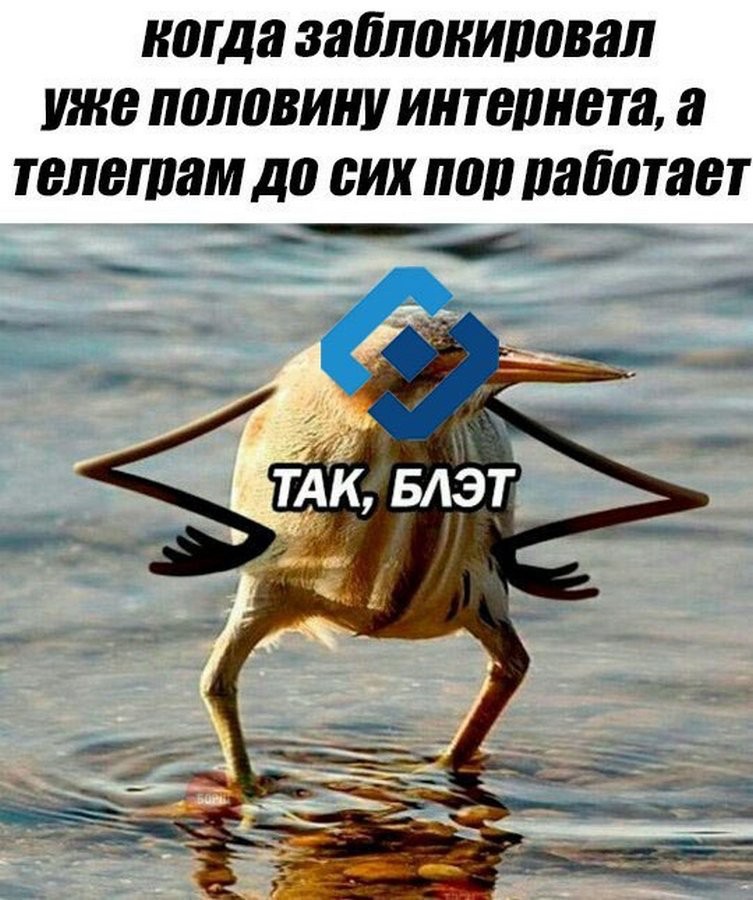 Вот и ко мне пришла беда стартер заел теперь уж это не езда а ерзанье