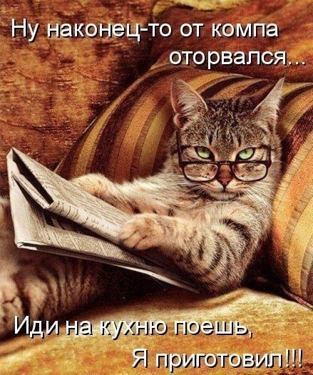 Чуток картинок, на ночь глядя