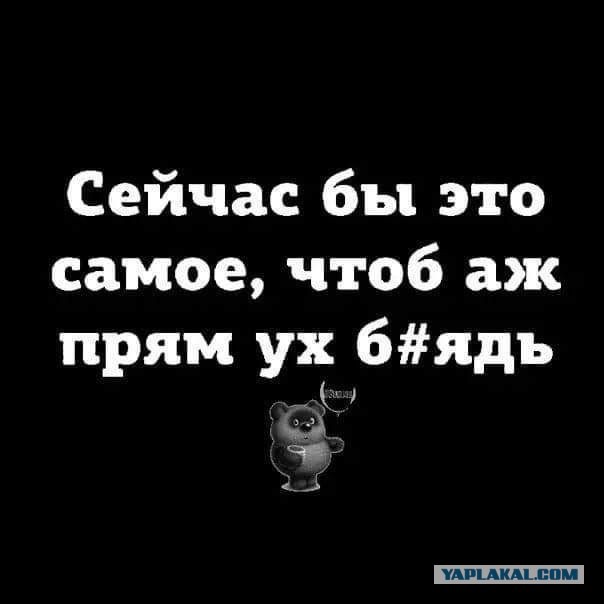 О годности к Семье