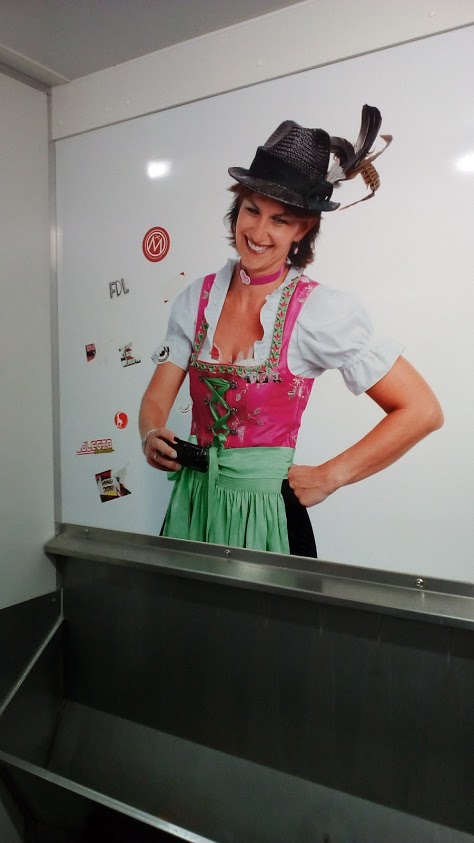 Туалеты мира