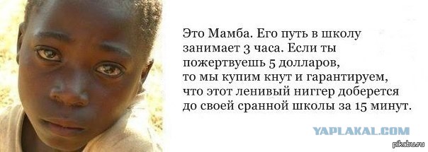 Жители Северного Айдахо вышли с оружием на улицы города