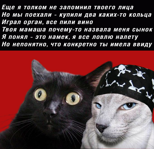 Киса хочет жабы