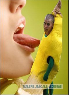 Друзья обезьян