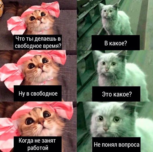 Бредзона 07.07.2020