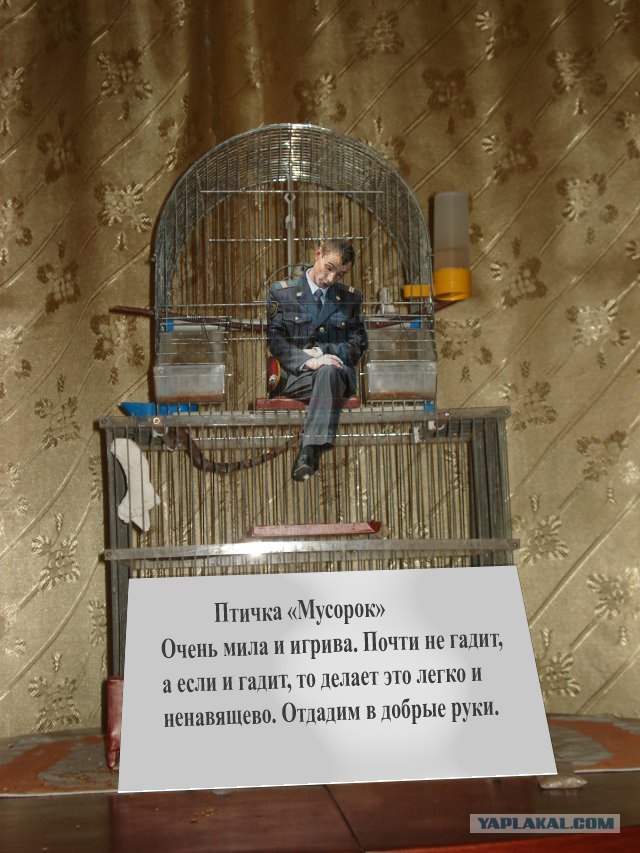 Милиция нас бережет!