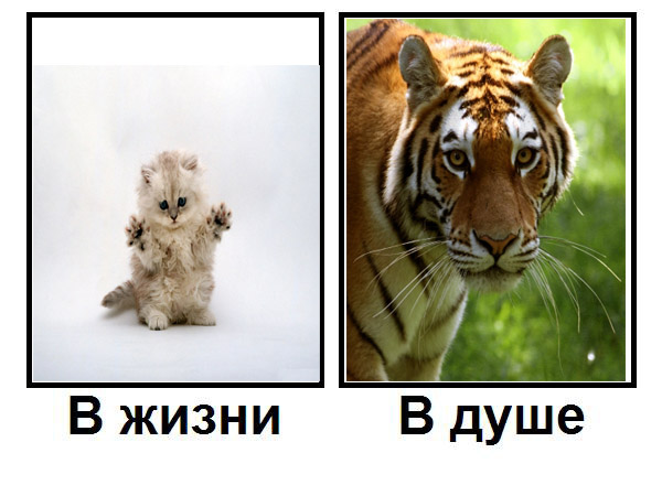 Кто есть кто?