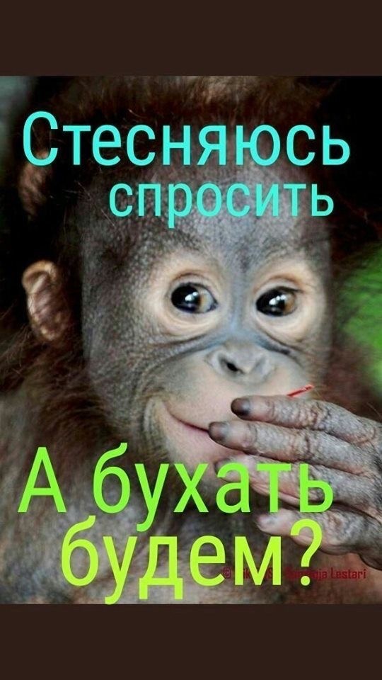 Так себе картинки 05.02.21