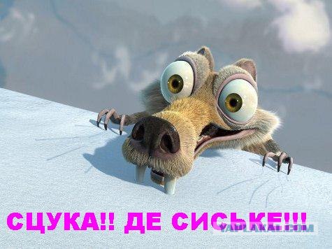 Собчак мочит и говорит все как думает.
