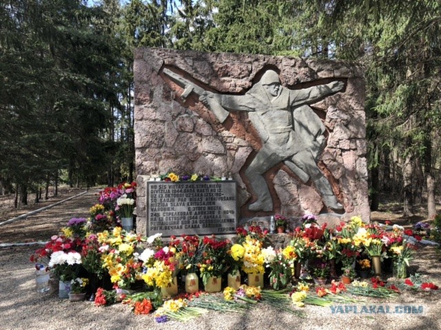 Латвийская молодежь ночью выложила ковер из цветов около памятника освободителям Риги