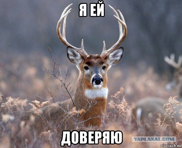 Что будет, если ты женишься...