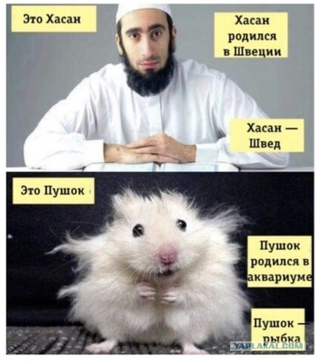 Почему свободные мужчины раздражают женщин