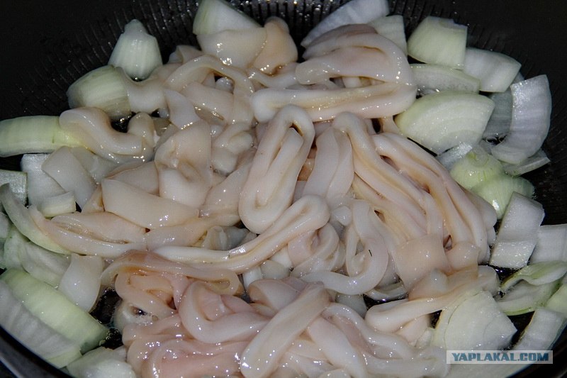 Кальмар в мультиварке рецепты. Кальмары с картошкой в духовке. Кальмар в мультиварке рецепты. Кальмар в мультиварке рецепты. Кальмар в мультиварке рецепты.