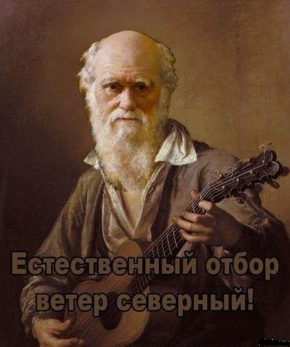 Как одна дура забрала жизнь у парня