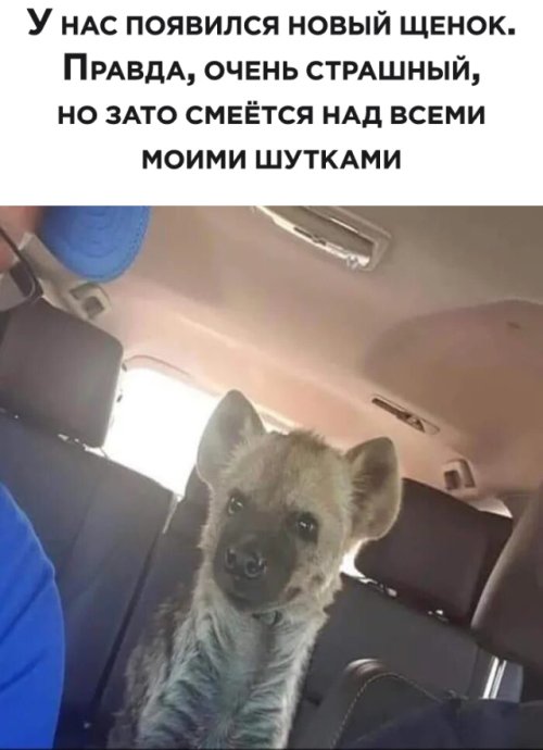 Картинки на выходные 17.10.21