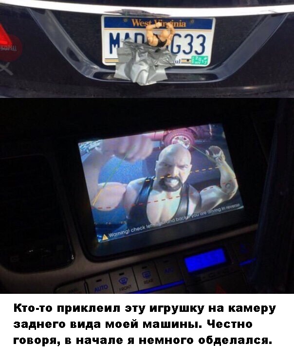 Всяческие картинки 08.11.2021