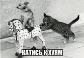 Дочь не пригласила на свадьбу отчима, который растил ее с 9 лет. Я тоже на эту свадьбу не пойду