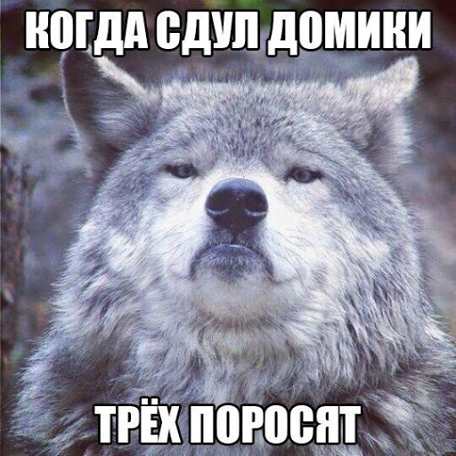 50 оттенков серого.  Vol. 6 Или самосвал баянов.  50 штук.