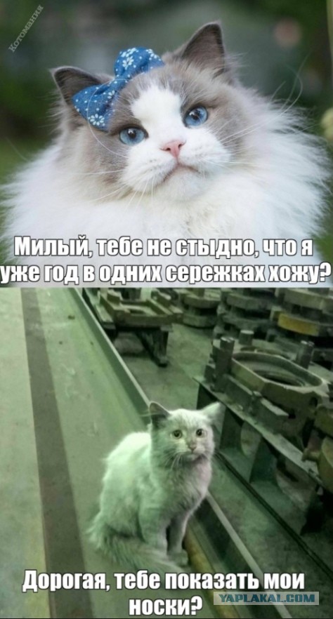 Баянисто-небаянистый юмор 17.05.22