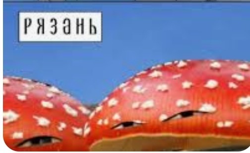 А может быть поделимся печальной красотой?