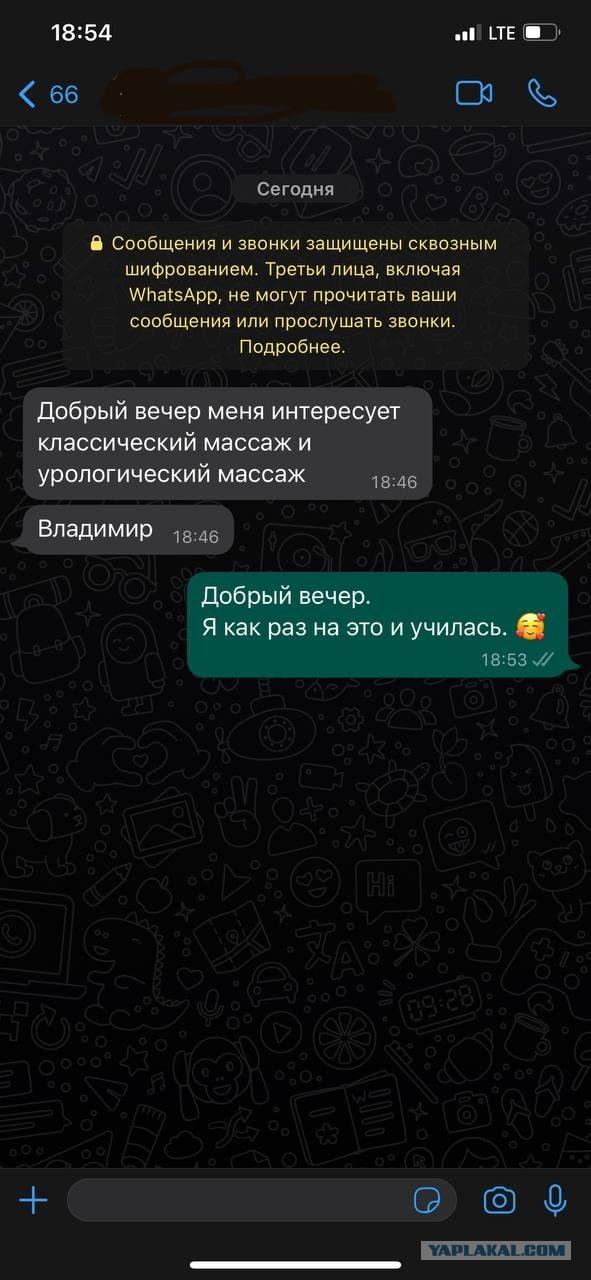 WhatsApp всё?