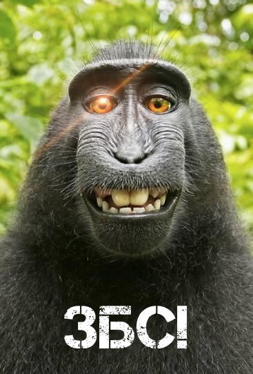 В лифте