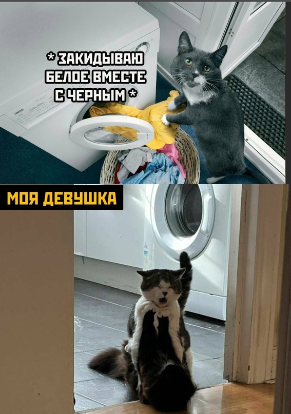 Картинки и мемы для настроения - 133