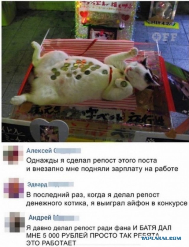 Скриншоты и комментарии из социальных сетей 10.12.22