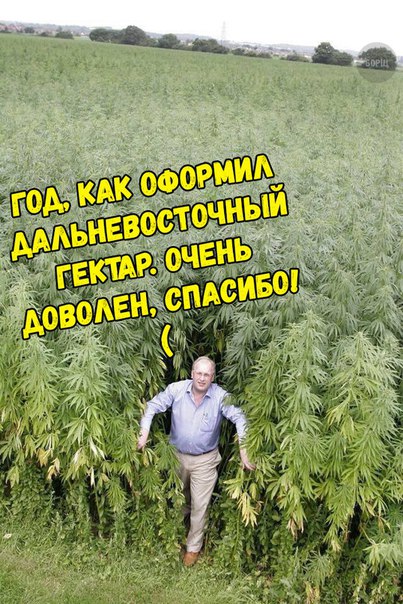 МИД: Россия примет ответные меры при появлении угрозы Дальнему Востоку со стороны Японии