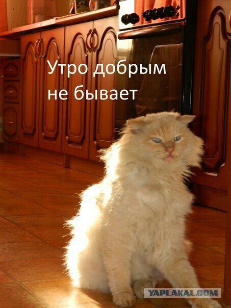 Прикольные и просто красивые картинки 21.02.2023