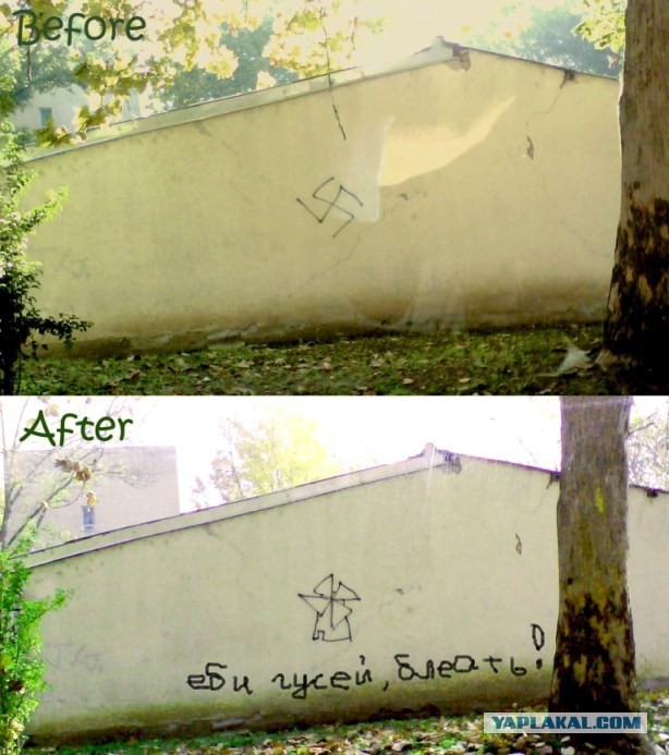 Что делать, если испортили стену?