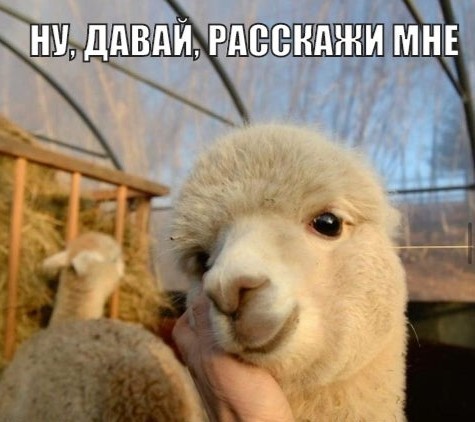 Почему женщины любят некрасивых?