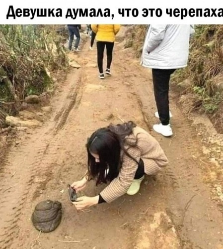 Весёлый полтишок 11.08.23