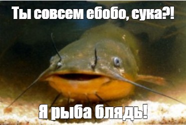 Ну наконец-то для мужчин хорошие вещи в ювелирном появились