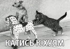 Нет слов!