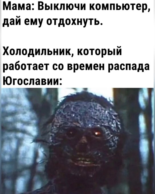 Нуштош 17.10.2024