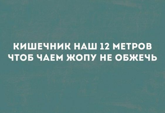 Весёлые картинки