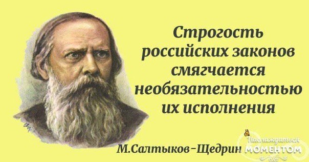 За кормление голубей на улице россиян будут штрафовать