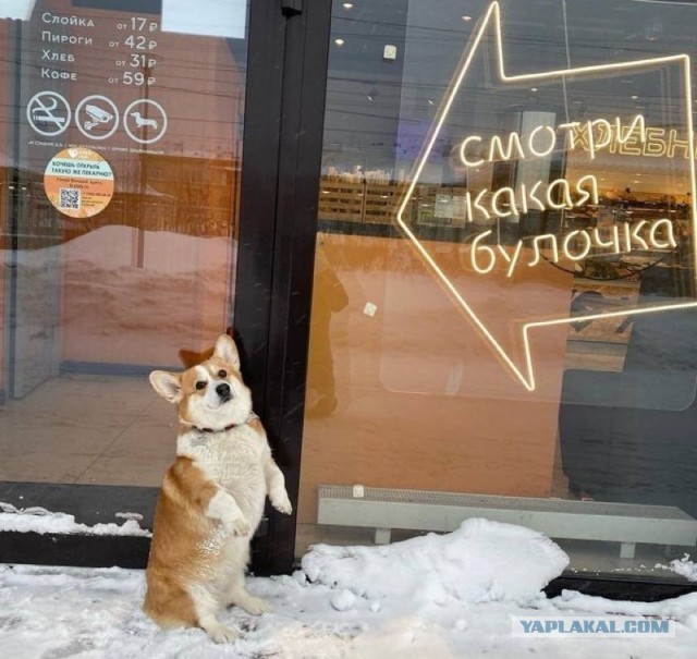Дегрономикон 2