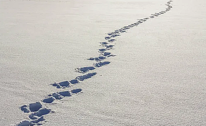 Идущий по снегу