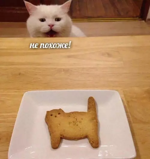 Картиночки, баянчики 19 февраля