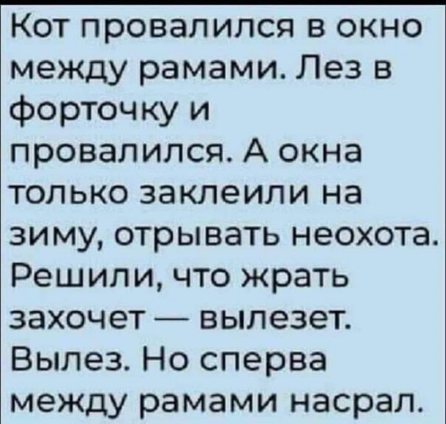 луганские спасатели пришли на помощь хвостатому форточнику