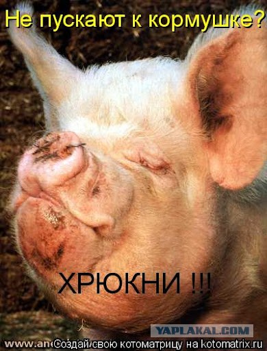Мизулина сообщила о проблемах с доступом в интернет