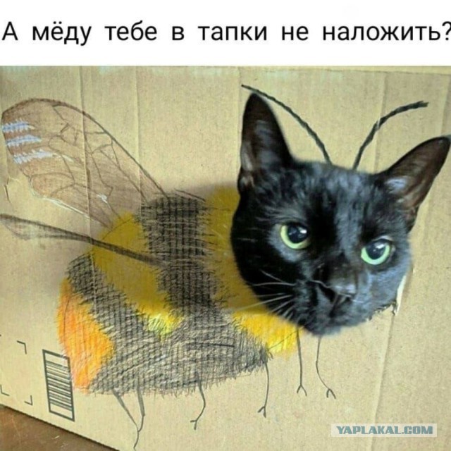 Удачные ракурсы и оптические илюзии