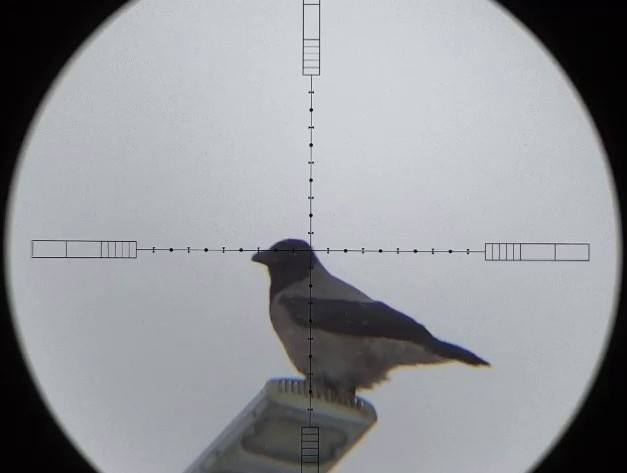 Веселые картинки в пятницу (24.04)