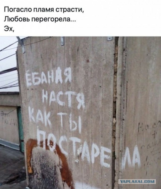 Воскресные картинки