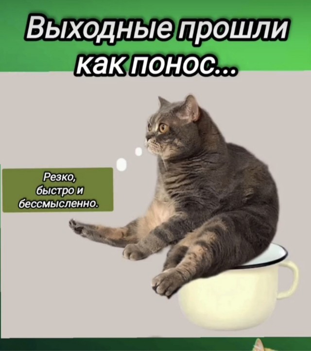 Картинки для деградации 203  (разной степени свежести)