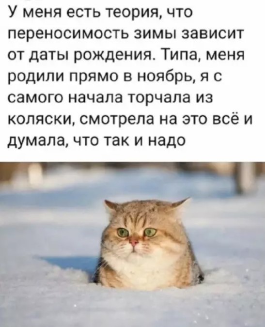 Картинки для деградации 210 (разной степени свежести)